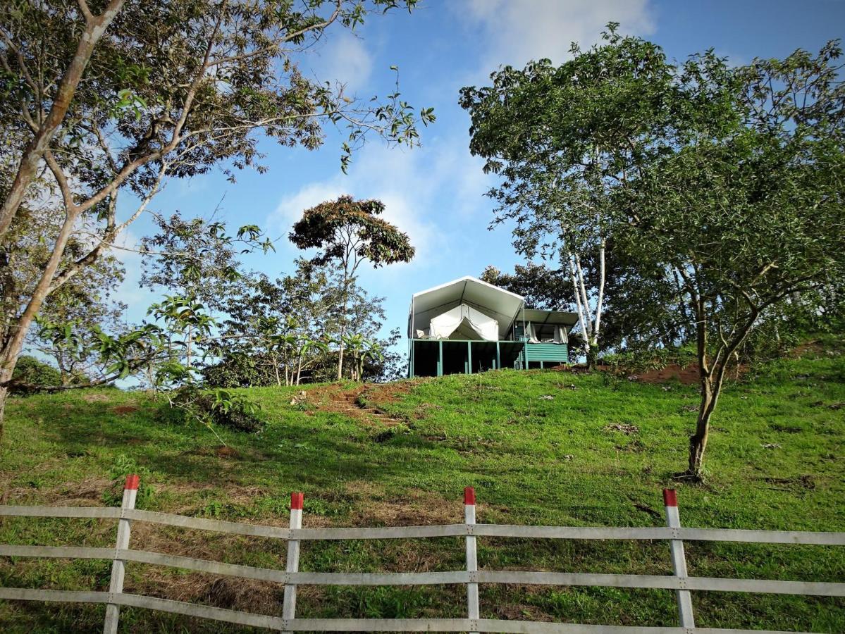Finca Tres Equis - Farm And Forest Εξωτερικό φωτογραφία