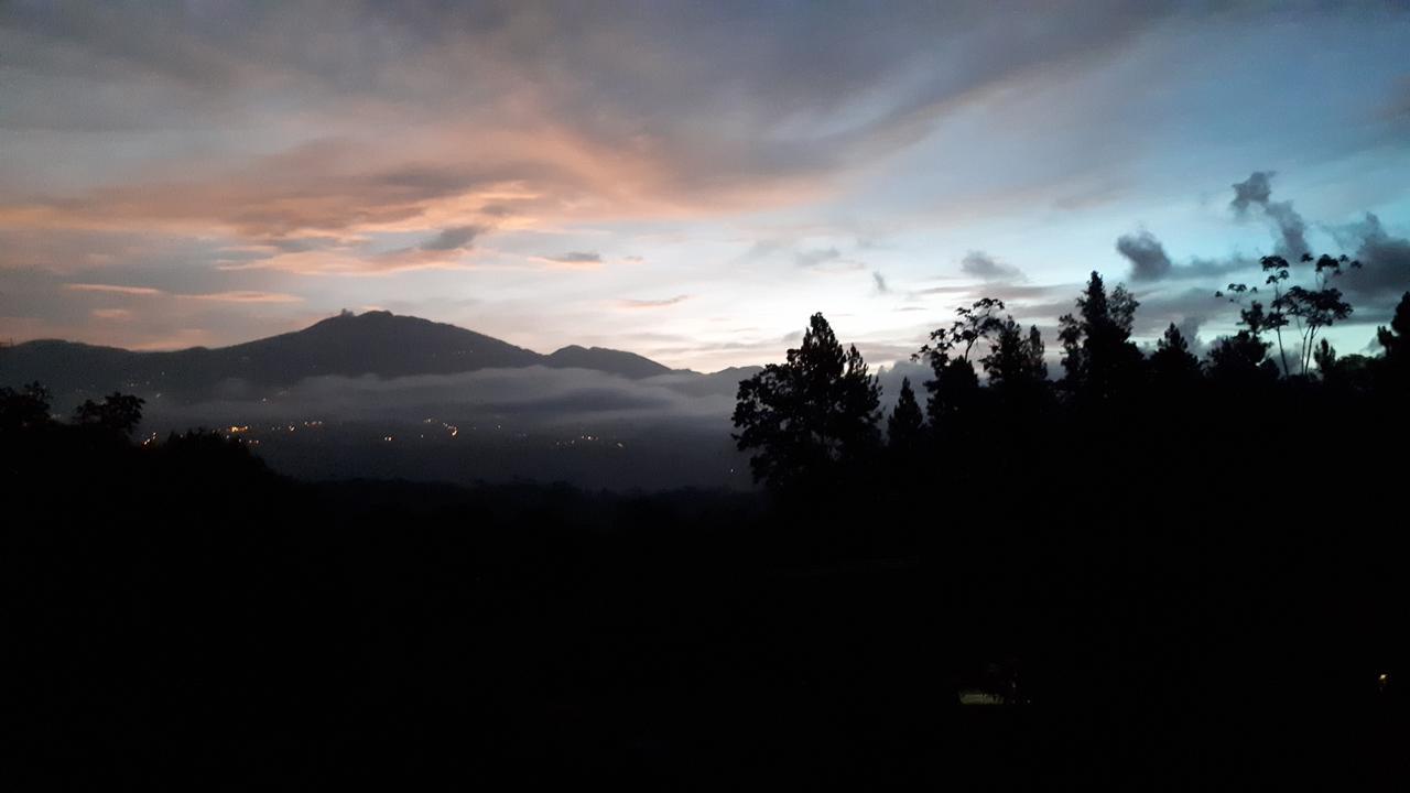 Finca Tres Equis - Farm And Forest Εξωτερικό φωτογραφία