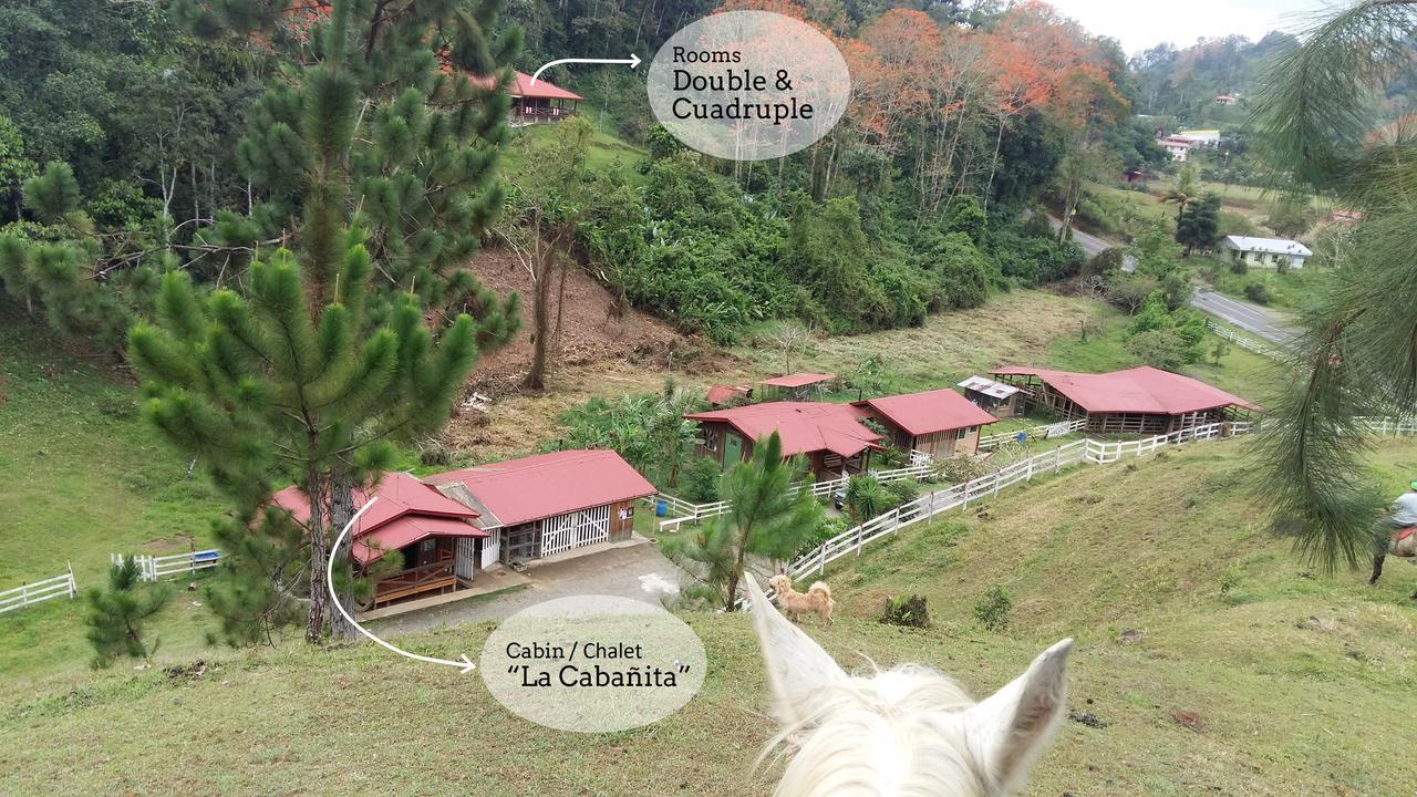 Finca Tres Equis - Farm And Forest Εξωτερικό φωτογραφία